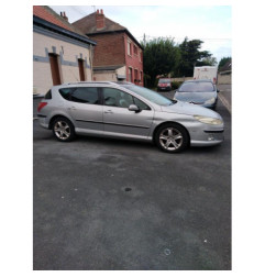 Verin de coffre PEUGEOT 407