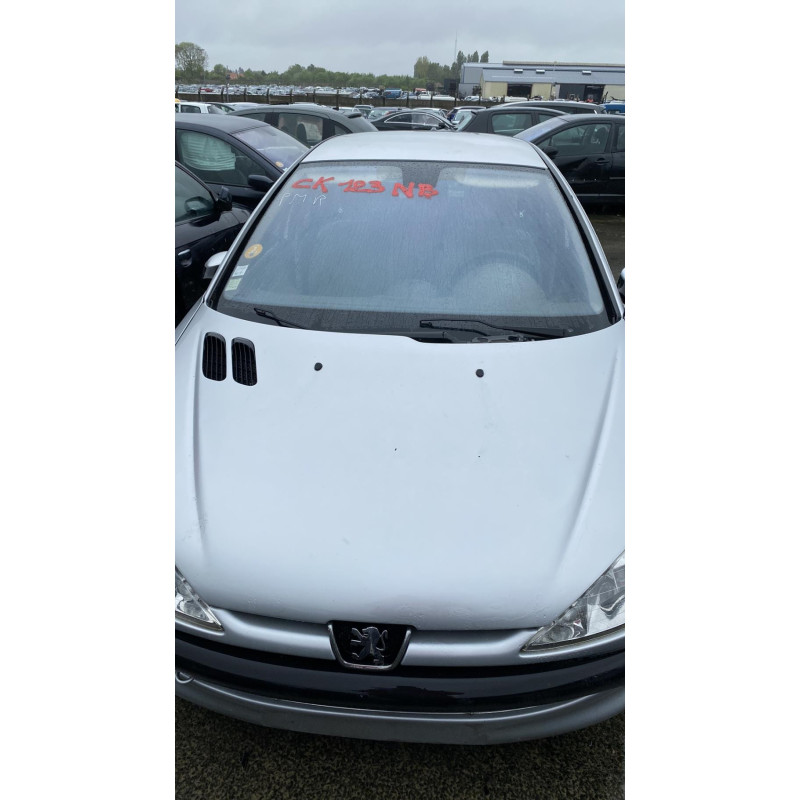 Poignee interieur arriere gauche PEUGEOT 206 Photo n°13