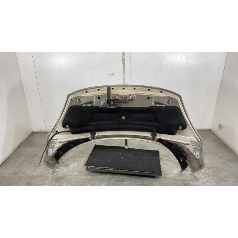 Capot RENAULT SCENIC 3 Photo n°4