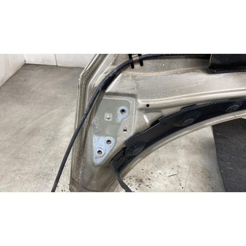 Capot RENAULT SCENIC 3 Photo n°5