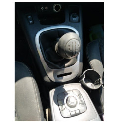Arret de porte avant droit RENAULT SCENIC 3