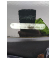 Serrure avant droit VOLKSWAGEN GOLF 4
