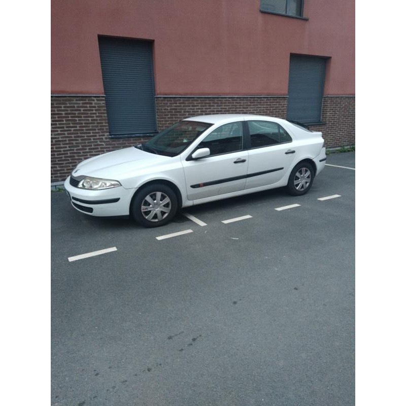 Porte avant gauche RENAULT LAGUNA 2 Photo n°13