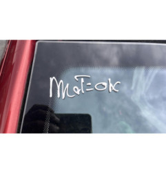 Ecran GPS PEUGEOT 207