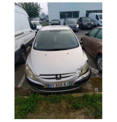 Porte avant droit PEUGEOT 307