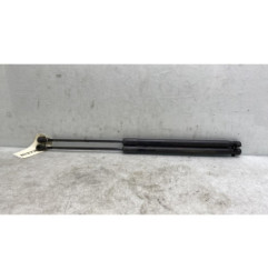 Verin de coffre NISSAN QASHQAI 1
