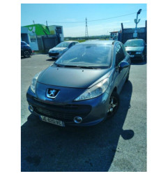 Malle/Hayon arriere PEUGEOT 207
