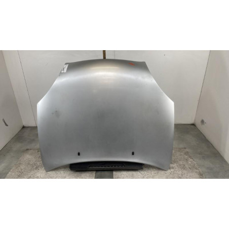 Capot FORD PUMA