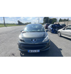Porte avant gauche PEUGEOT 207