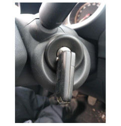 Porte arriere gauche OPEL CORSA D