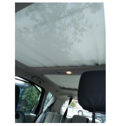 Poignee interieur arriere gauche RENAULT SCENIC 2