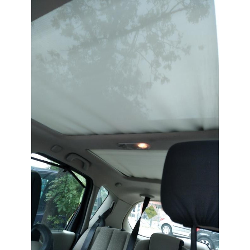 Poignee interieur arriere gauche RENAULT SCENIC 2 Photo n°8