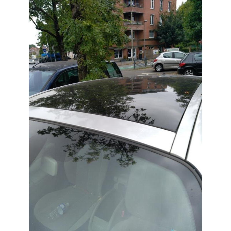 Poignee interieur arriere gauche RENAULT SCENIC 2 Photo n°19