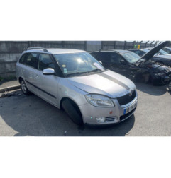 Porte arriere droit SKODA FABIA 2