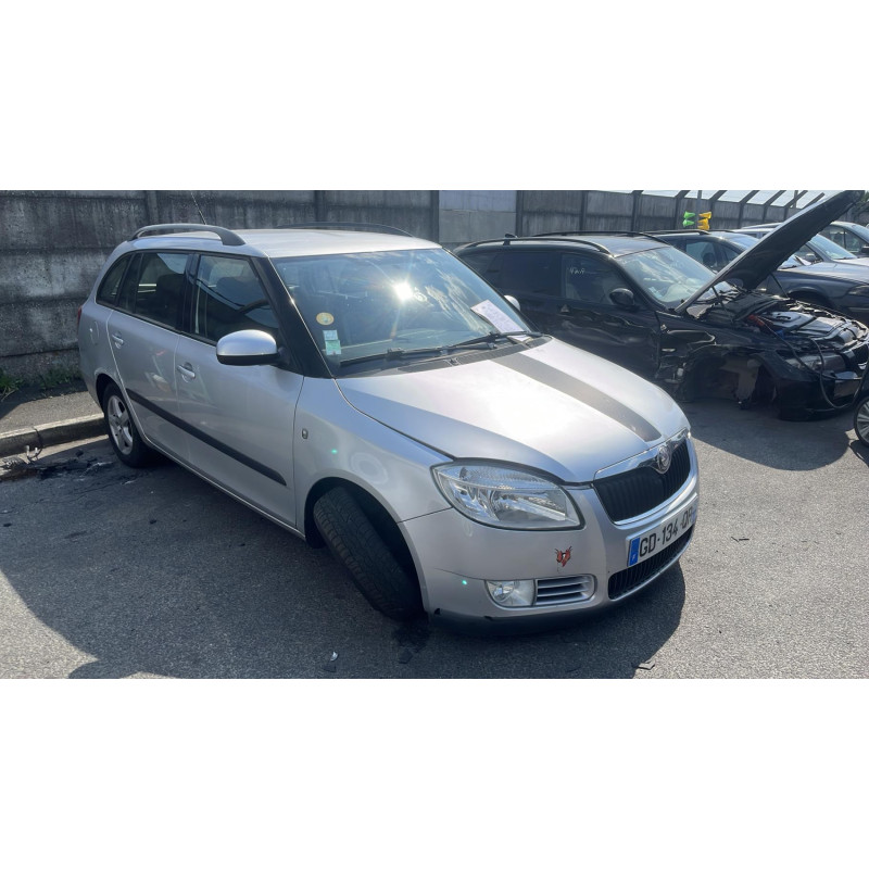 Porte arriere droit SKODA FABIA 2 Photo n°10