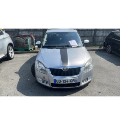 Porte arriere droit SKODA FABIA 2