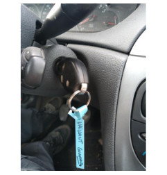 Vitre arriere droit CITROEN C5 1
