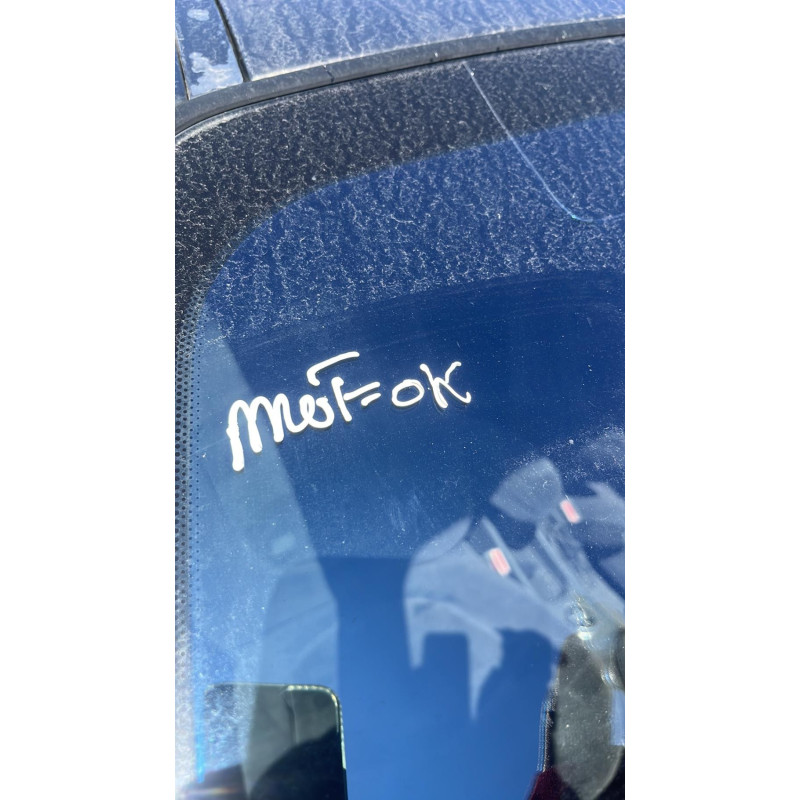 Vitre arriere droit CITROEN C5 1 Photo n°14