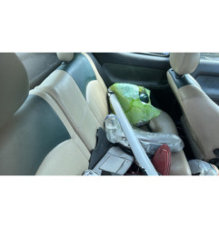 Fermeture de capot PEUGEOT 206