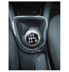 Porte avant gauche FIAT BRAVO 2