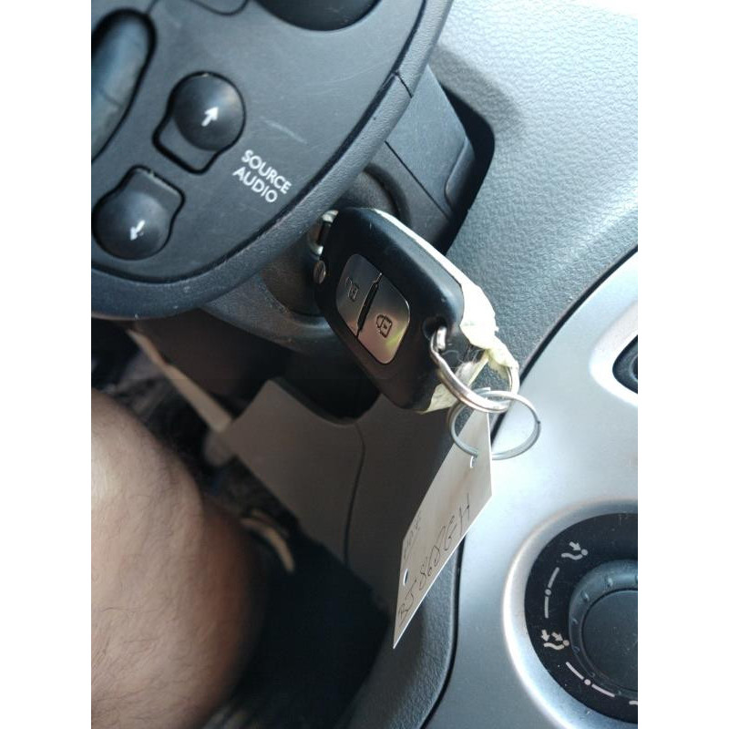 Porte arriere gauche RENAULT GRAND MODUS Photo n°18