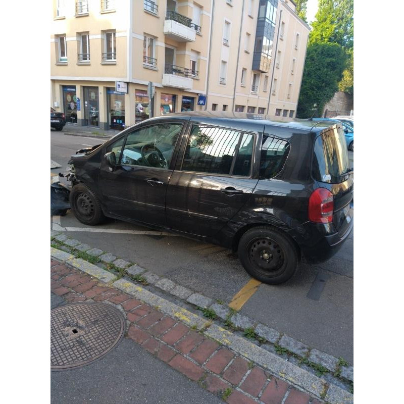 Porte arriere gauche RENAULT GRAND MODUS Photo n°19