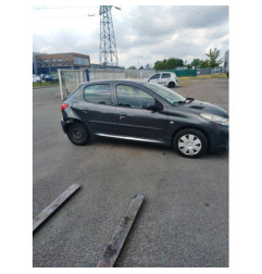 Poignee interieur arriere gauche PEUGEOT 206+