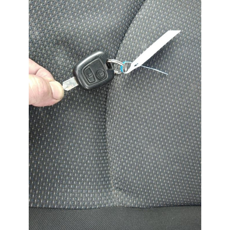 Poignee interieur arriere gauche PEUGEOT 206+ Photo n°10