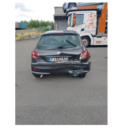 Poignee interieur arriere gauche PEUGEOT 206+