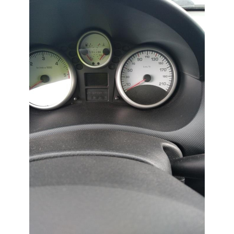 Poignee interieur arriere gauche PEUGEOT 206+ Photo n°13