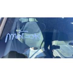 Cardan droit (transmission) RENAULT SCENIC 1