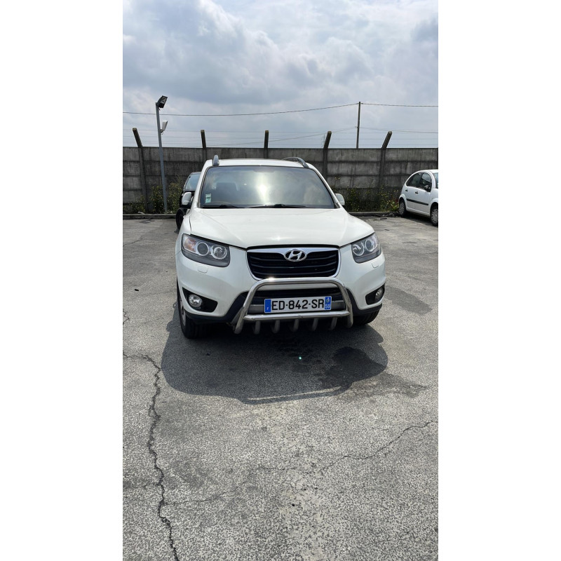 Custode arriere droit (porte) HYUNDAI SANTA FE 2 Photo n°6