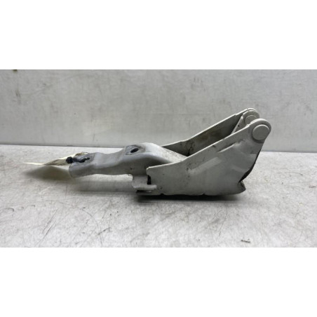 Charniere de capot HYUNDAI SANTA FE 2 Photo n°1