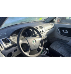 Porte arriere gauche SKODA FABIA 2