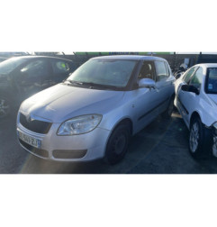 Porte arriere gauche SKODA FABIA 2
