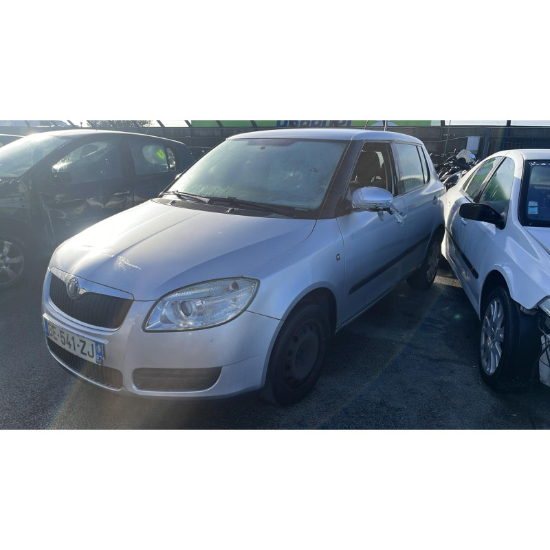 Porte arriere gauche SKODA FABIA 2 Photo n°8