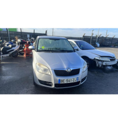 Porte arriere gauche SKODA FABIA 2