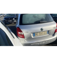 Porte arriere gauche SKODA FABIA 2