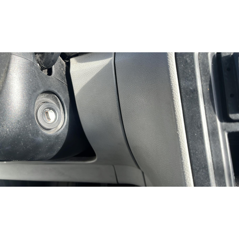Porte arriere gauche SKODA FABIA 2 Photo n°15