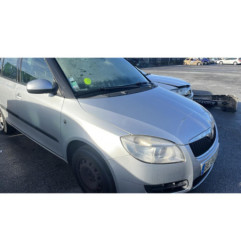 Porte arriere gauche SKODA FABIA 2
