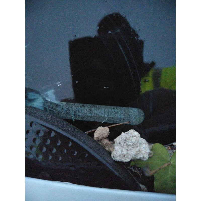 Pare soleil gauche RENAULT CLIO 4 Photo n°6