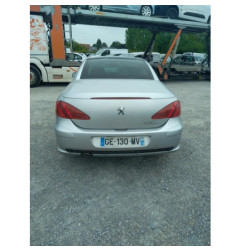 Bouton de warning PEUGEOT 307