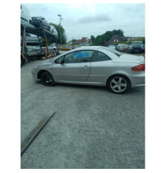 Bouton de warning PEUGEOT 307