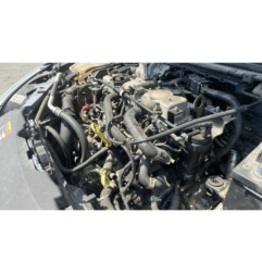 Porte arriere droit FORD FOCUS 2