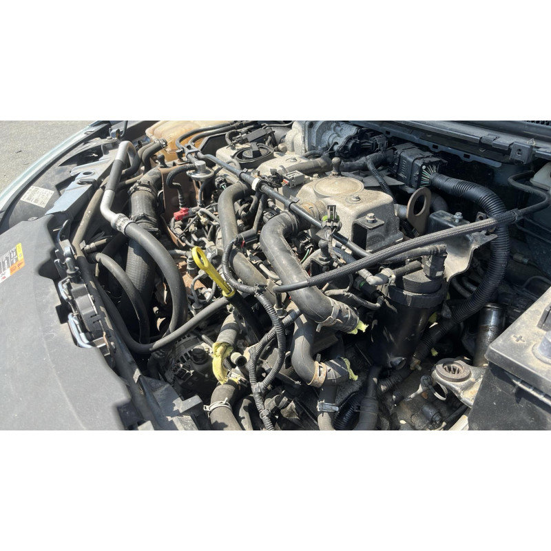 Porte arriere gauche FORD FOCUS 2 Photo n°14