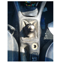 Pare choc avant PEUGEOT 206