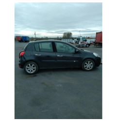 Porte arriere gauche RENAULT CLIO 3