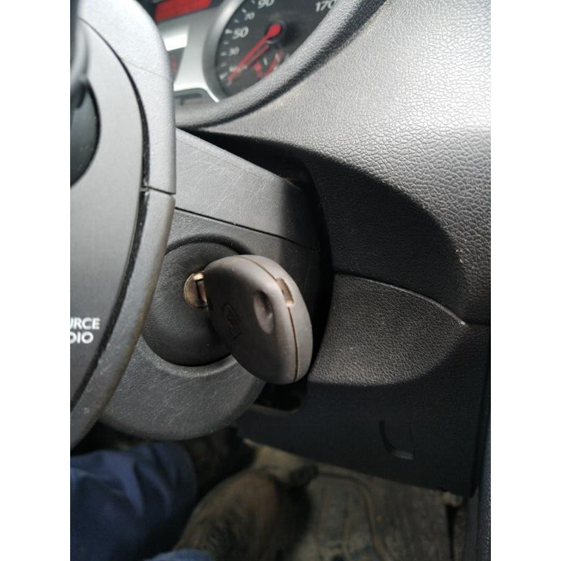 Porte arriere gauche RENAULT CLIO 3 Photo n°12