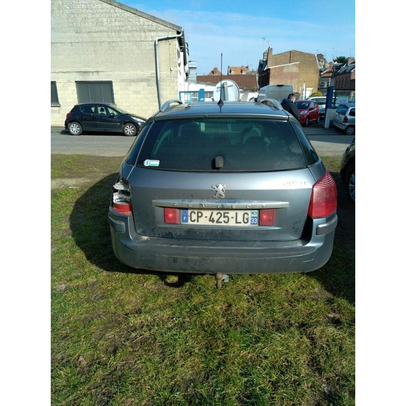 Arret de porte avant gauche PEUGEOT 407 Photo n°9