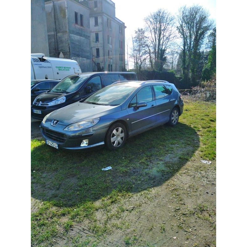 Arret de porte avant gauche PEUGEOT 407 Photo n°10